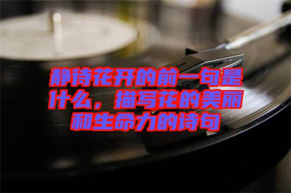 靜待花開(kāi)的前一句是什么，描寫(xiě)花的美麗和生命力的詩(shī)句