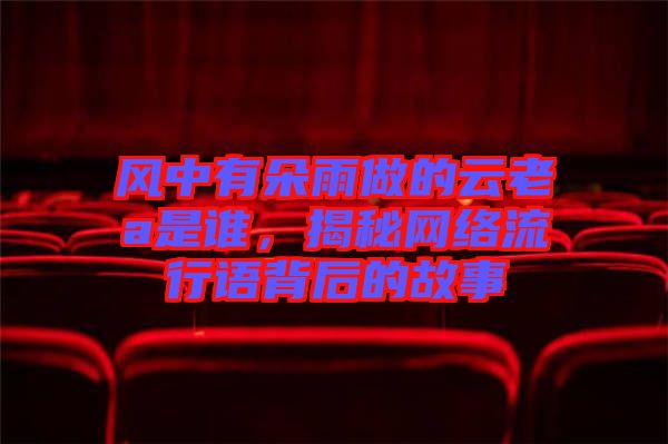 風中有朵雨做的云老a是誰，揭秘網(wǎng)絡流行語背后的故事