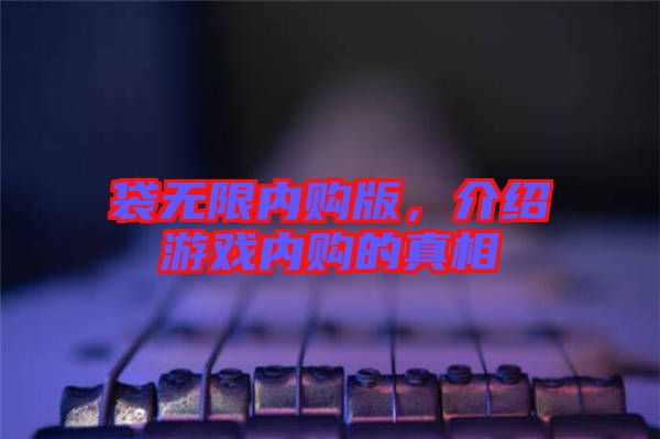 袋無限內(nèi)購版，介紹游戲內(nèi)購的真相