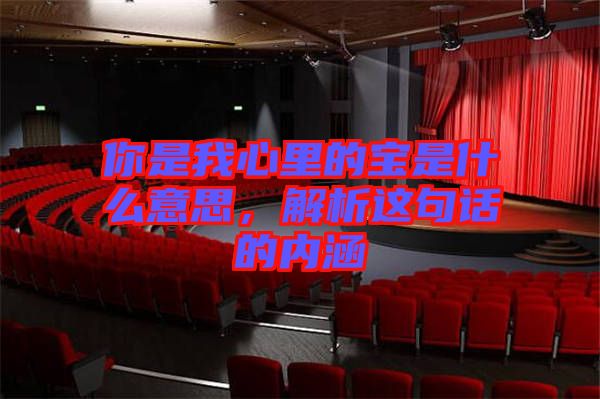 你是我心里的寶是什么意思，解析這句話的內(nèi)涵