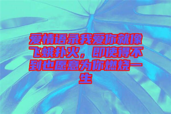 愛情語錄我愛你就像飛蛾撲火，即使得不到也愿意為你燃燒一生