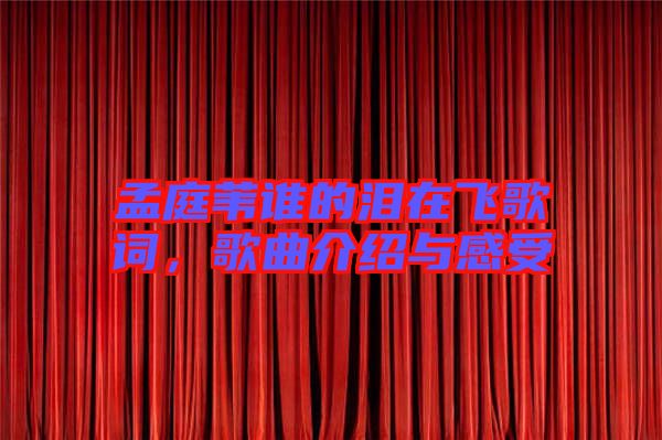 孟庭葦誰的淚在飛歌詞，歌曲介紹與感受