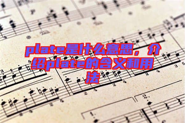 plate是什么意思，介紹plate的含義和用法