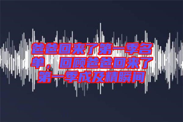 爸爸回來了第一季名單，回顧爸爸回來了第一季成及精瞬間
