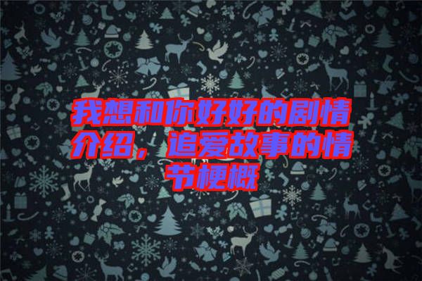 我想和你好好的劇情介紹，追愛(ài)故事的情節(jié)梗概