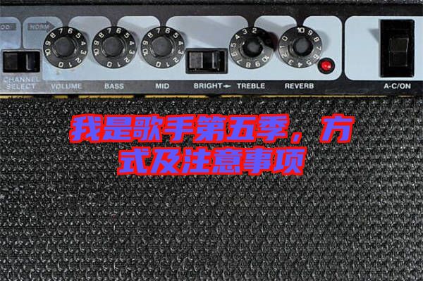 我是歌手第五季，方式及注意事項(xiàng)