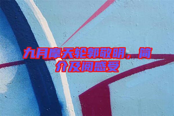九月摩天輪郭敬明，簡介及閱感受