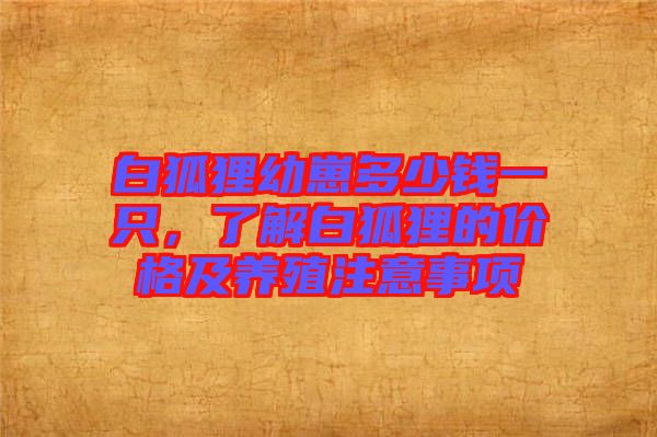 白狐貍幼崽多少錢一只，了解白狐貍的價(jià)格及養(yǎng)殖注意事項(xiàng)