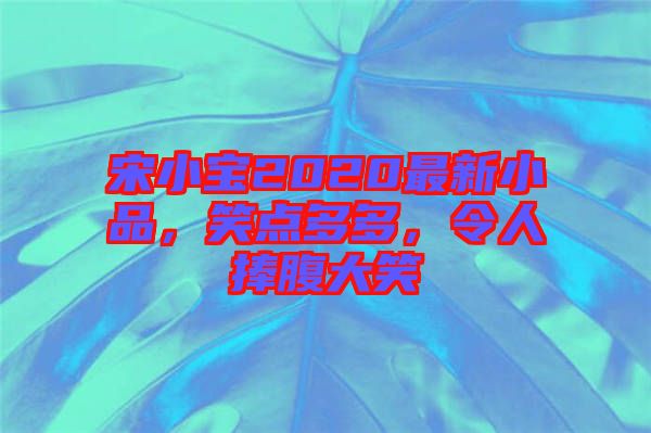 宋小寶2020最新小品，笑點多多，令人捧腹大笑
