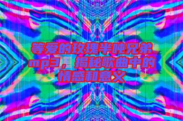 等愛的玫瑰半噸兄弟mp3，揭秘歌曲中的情感和意義