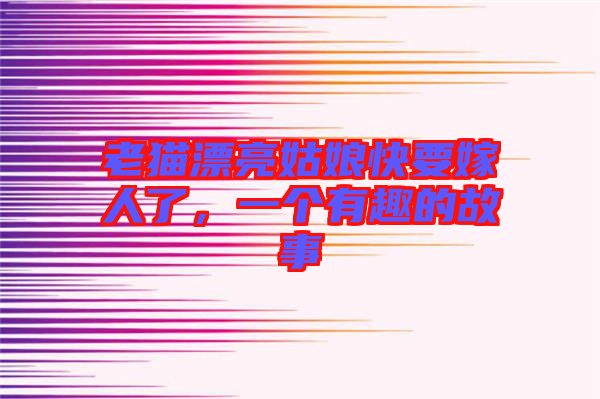 老貓漂亮姑娘快要嫁人了，一個有趣的故事