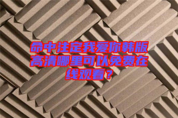 命中注定我愛你韓版高清哪里可以免費(fèi)在線觀看？