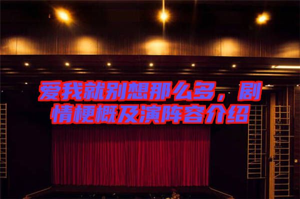 愛我就別想那么多，劇情梗概及演陣容介紹