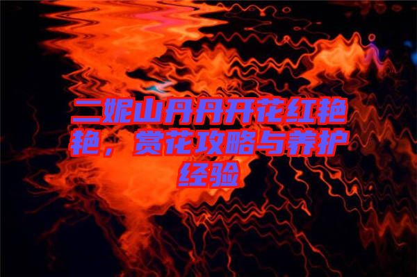 二妮山丹丹開(kāi)花紅艷艷，賞花攻略與養(yǎng)護(hù)經(jīng)驗(yàn)
