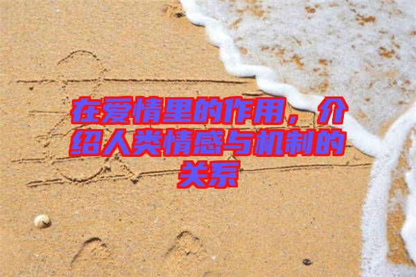 在愛情里的作用，介紹人類情感與機制的關(guān)系