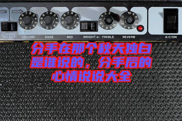 分手在那個(gè)秋天獨(dú)白是誰(shuí)說的，分手后的心情說說大全