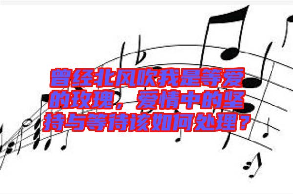 曾經(jīng)北風(fēng)吹我是等愛(ài)的玫瑰，愛(ài)情中的堅(jiān)持與等待該如何處理？