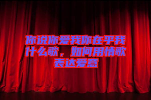 你說(shuō)你愛(ài)我你在乎我什么歌，如何用情歌表達(dá)愛(ài)意