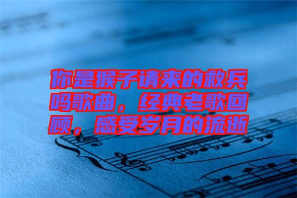 你是猴子請(qǐng)來(lái)的救兵嗎歌曲，經(jīng)典老歌回顧，感受歲月的流逝