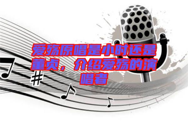 愛(ài)殤原唱是小時(shí)還是董貞，介紹愛(ài)殤的演唱者