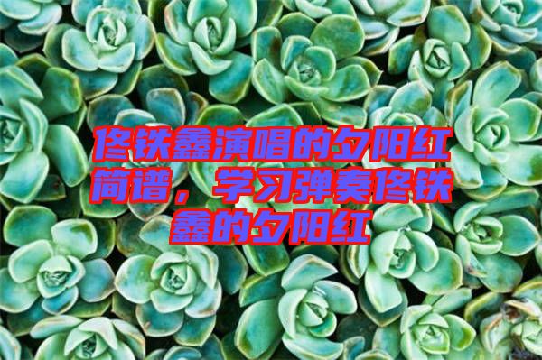 佟鐵鑫演唱的夕陽紅簡譜，學(xué)習(xí)彈奏佟鐵鑫的夕陽紅