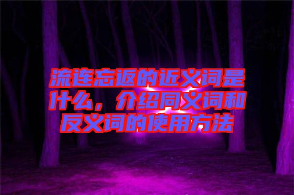 流連忘返的近義詞是什么，介紹同義詞和反義詞的使用方法