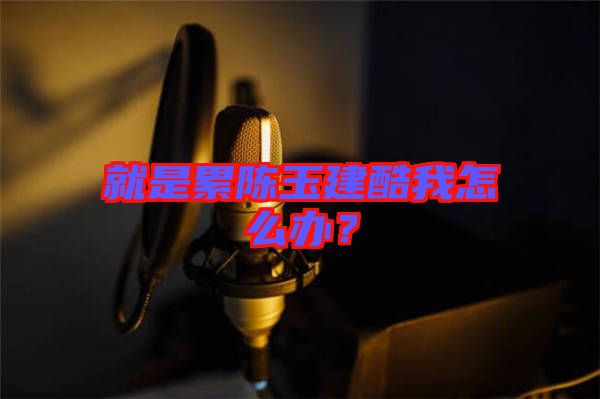就是累陳玉建酷我怎么辦？