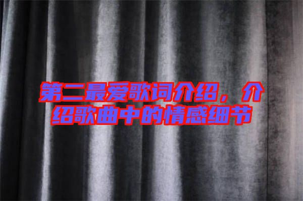 第二最愛歌詞介紹，介紹歌曲中的情感細(xì)節(jié)