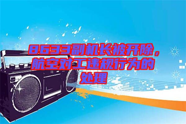 8633副機長被開除，航空對工違規(guī)行為的處理