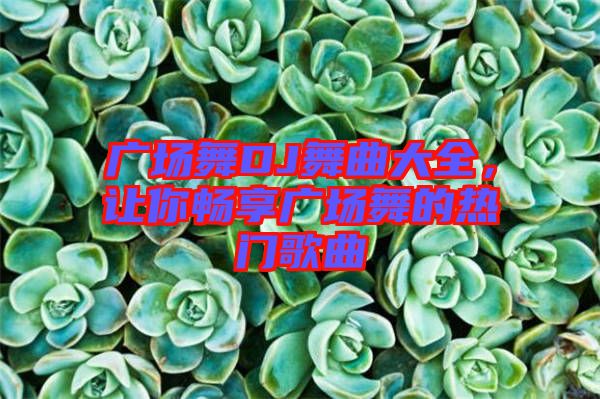 廣場舞DJ舞曲大全，讓你暢享廣場舞的熱門歌曲
