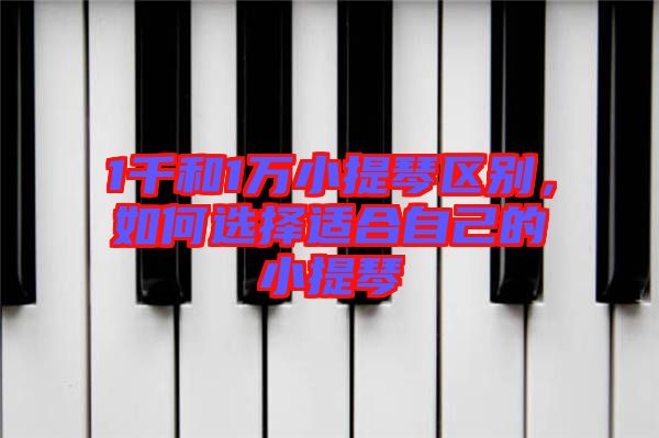 1千和1萬(wàn)小提琴區(qū)別，如何選擇適合自己的小提琴