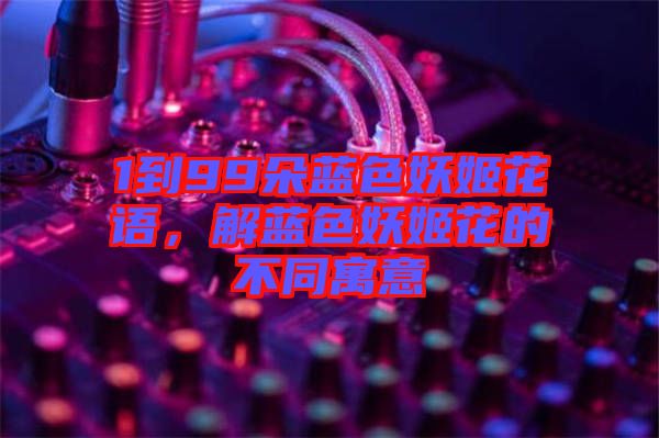 1到99朵藍(lán)色妖姬花語，解藍(lán)色妖姬花的不同寓意