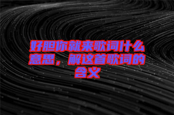 好膽你就來(lái)歌詞什么意思，解這首歌詞的含義