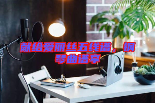 獻(xiàn)給愛(ài)麗絲五線譜，鋼琴曲譜享