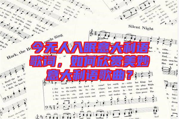 今無人入眠意大利語歌詞，如何欣賞美妙意大利語歌曲？