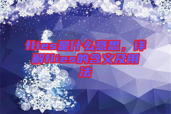 flies是什么意思，詳解flies的含義及用法