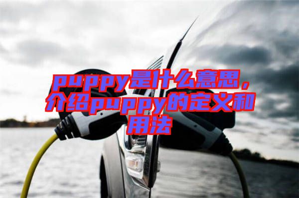 puppy是什么意思，介紹puppy的定義和用法