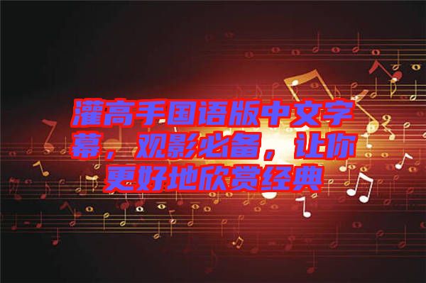 灌高手國(guó)語(yǔ)版中文字幕，觀影必備，讓你更好地欣賞經(jīng)典