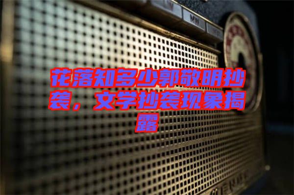 花落知多少郭敬明抄襲，文學(xué)抄襲現(xiàn)象揭露