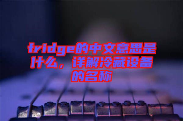 fridge的中文意思是什么，詳解冷藏設(shè)備的名稱(chēng)