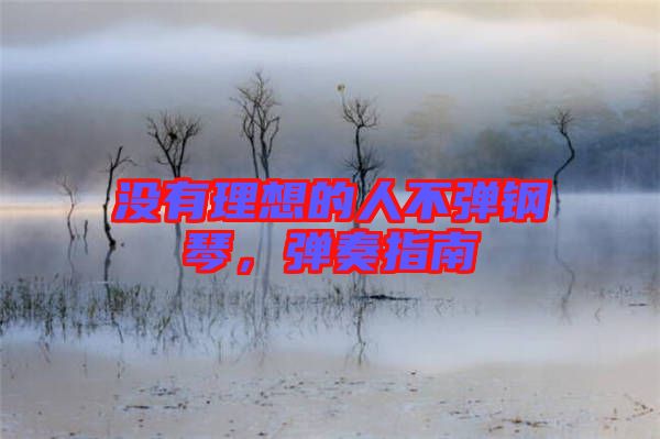 沒有理想的人不彈鋼琴，彈奏指南