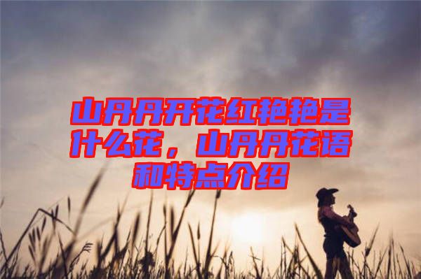 山丹丹開花紅艷艷是什么花，山丹丹花語和特點介紹