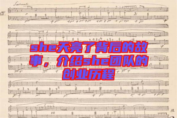 she天亮了背后的故事，介紹she團(tuán)隊(duì)的創(chuàng)業(yè)歷程