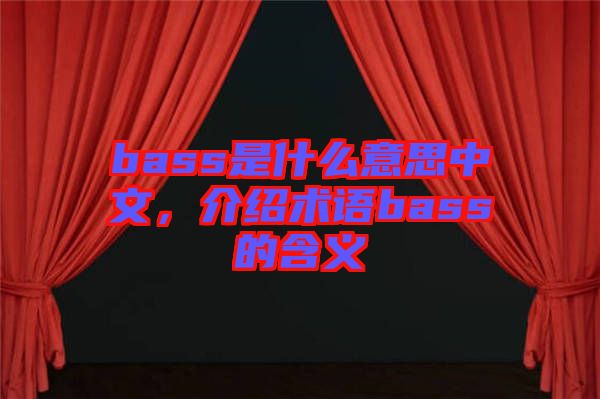 bass是什么意思中文，介紹術語bass的含義