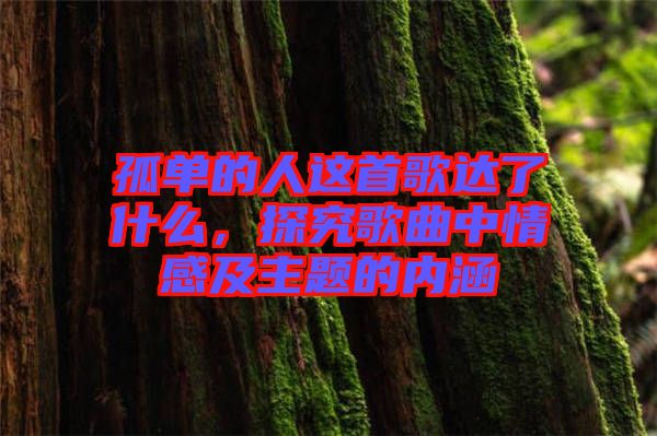 孤單的人這首歌達(dá)了什么，探究歌曲中情感及主題的內(nèi)涵