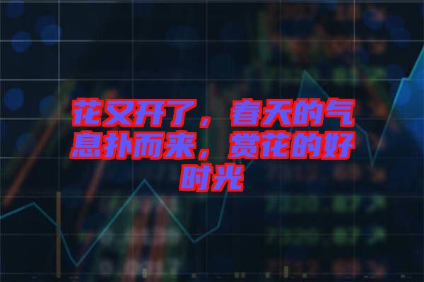 花又開(kāi)了，春天的氣息撲而來(lái)，賞花的好時(shí)光