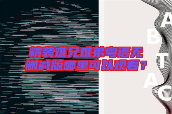 精裝難兄難弟粵語無刪減版哪里可以觀看？