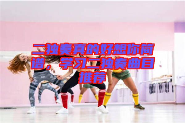 二獨(dú)奏真的好想你簡(jiǎn)譜，學(xué)習(xí)二獨(dú)奏曲目推薦