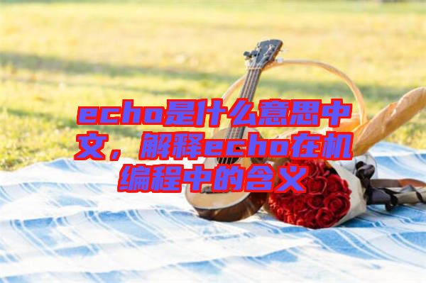 echo是什么意思中文，解釋echo在機編程中的含義