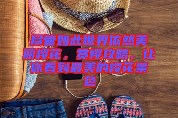 盡管如此世界依然美麗櫻花，賞櫻攻略，讓你看到最美的櫻花景色